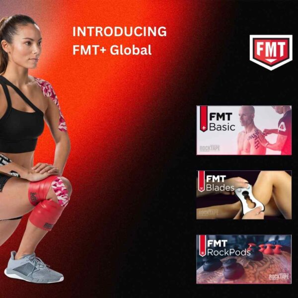 FMT+ ONLINE COURSES (price per course)